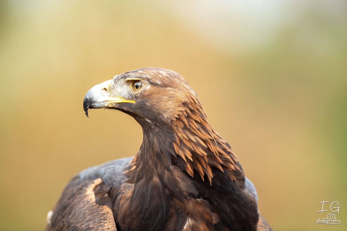 AK6I1378 31 oktober 2021 1446 34